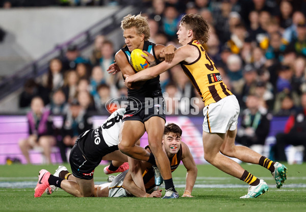 AFL 2024 Second Semi Final - Port Adelaide v Hawthorn - A-54006033