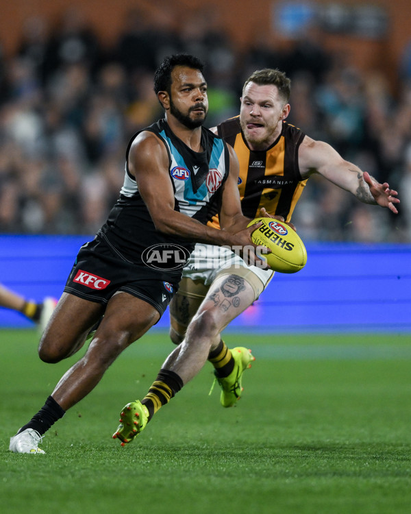 AFL 2024 Second Semi Final - Port Adelaide v Hawthorn - A-54006069