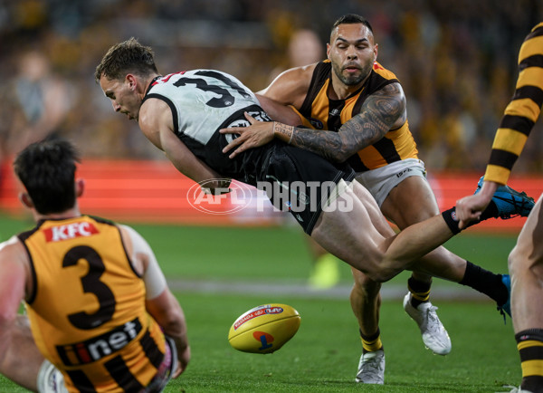 AFL 2024 Second Semi Final - Port Adelaide v Hawthorn - A-54006071