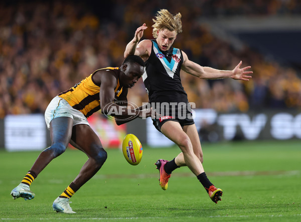 AFL 2024 Second Semi Final - Port Adelaide v Hawthorn - A-54006523