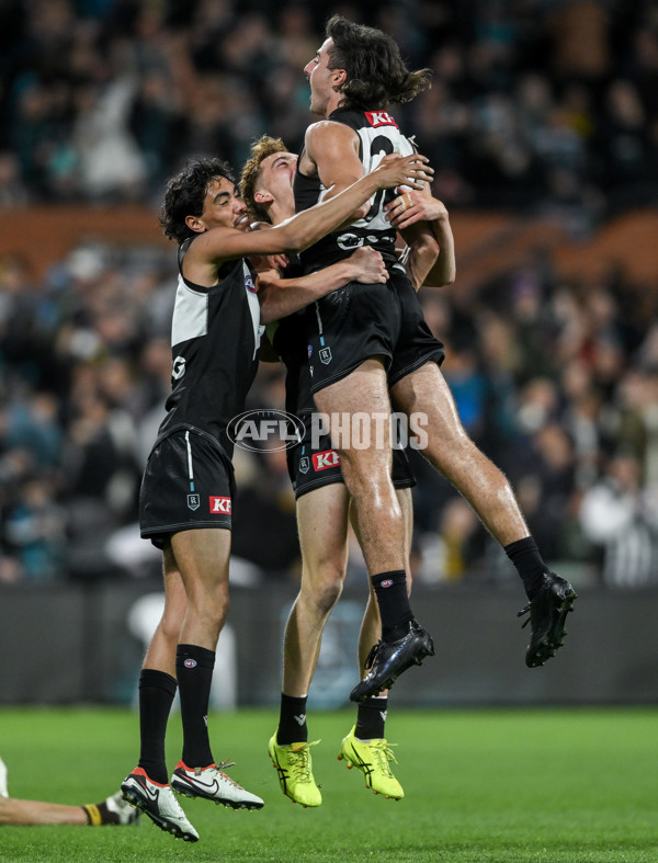 AFL 2024 Second Semi Final - Port Adelaide v Hawthorn - A-54008429