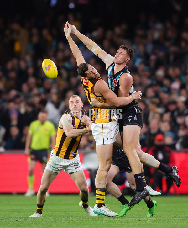 AFL 2024 Second Semi Final - Port Adelaide v Hawthorn - A-54011162