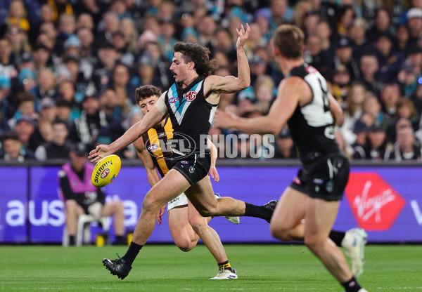 AFL 2024 Second Semi Final - Port Adelaide v Hawthorn - A-54011624