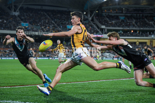 AFL 2024 Second Semi Final - Port Adelaide v Hawthorn - A-54013170