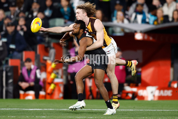 AFL 2024 Second Semi Final - Port Adelaide v Hawthorn - A-54013995