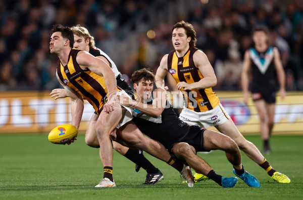 AFL 2024 Second Semi Final - Port Adelaide v Hawthorn - A-54014058