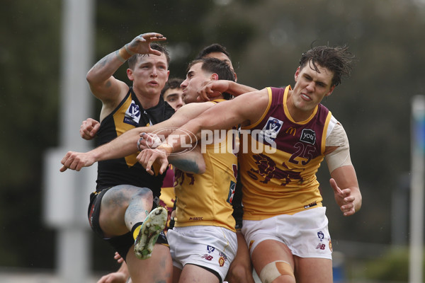 VFL 2024 First Preliminary Final - Werribee v Brisbane - A-54016031