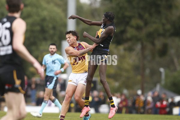 VFL 2024 First Preliminary Final - Werribee v Brisbane - A-54016036