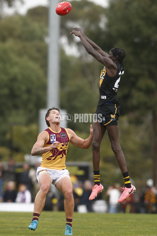 VFL 2024 First Preliminary Final - Werribee v Brisbane - A-54016037