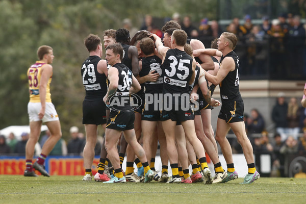 VFL 2024 First Preliminary Final - Werribee v Brisbane - A-54016257