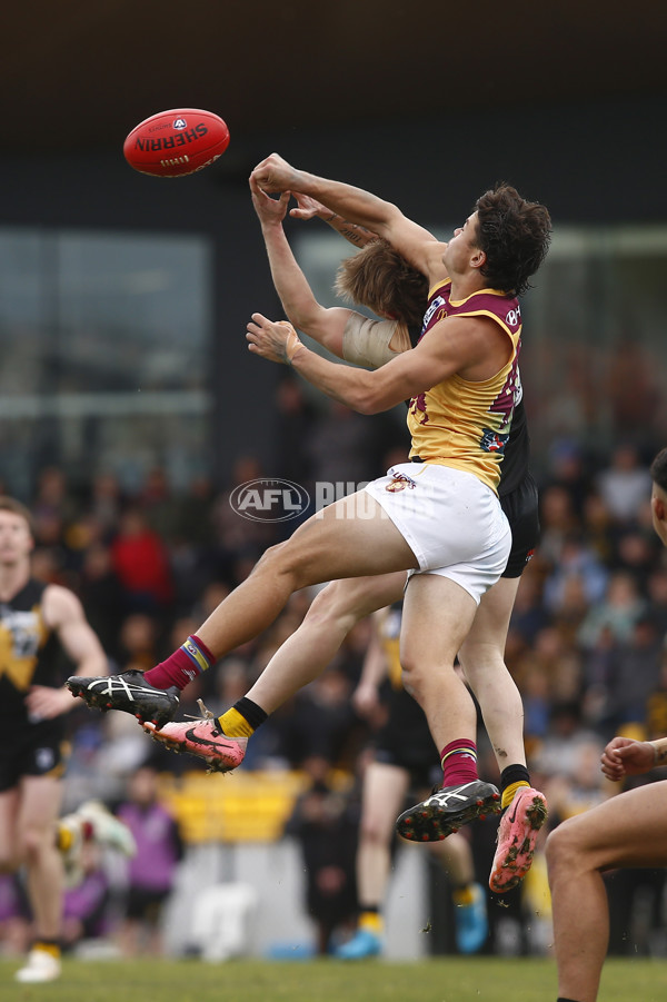 VFL 2024 First Preliminary Final - Werribee v Brisbane - A-54016258