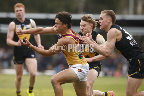 VFL 2024 First Preliminary Final - Werribee v Brisbane - A-54016259