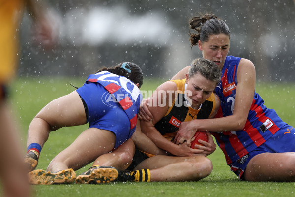 Coates League Girls 2024 First Preliminary Final - Oakleigh v Dandenong - A-54016287