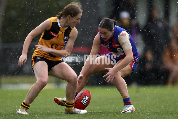 Coates League Girls 2024 First Preliminary Final - Oakleigh v Dandenong - A-54016289