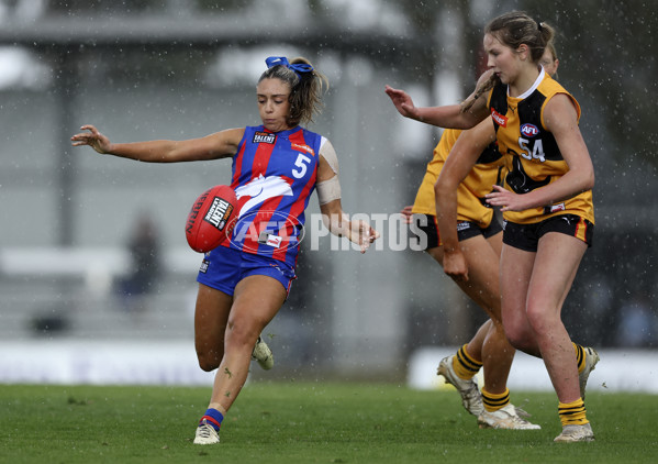 Coates League Girls 2024 First Preliminary Final - Oakleigh v Dandenong - A-54016291