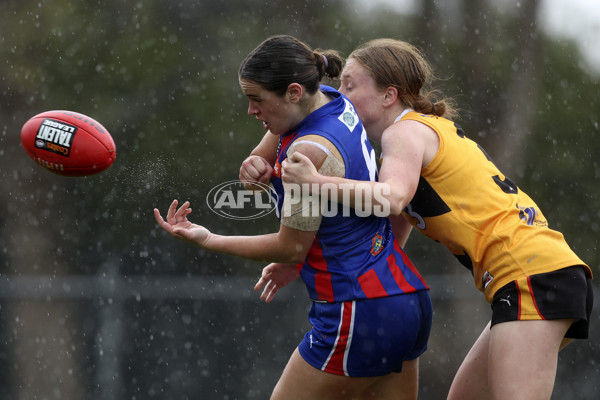 Coates League Girls 2024 First Preliminary Final - Oakleigh v Dandenong - A-54016292