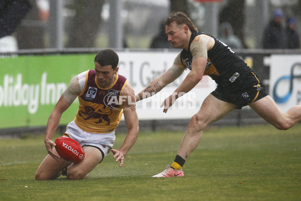 VFL 2024 First Preliminary Final - Werribee v Brisbane - A-54016314