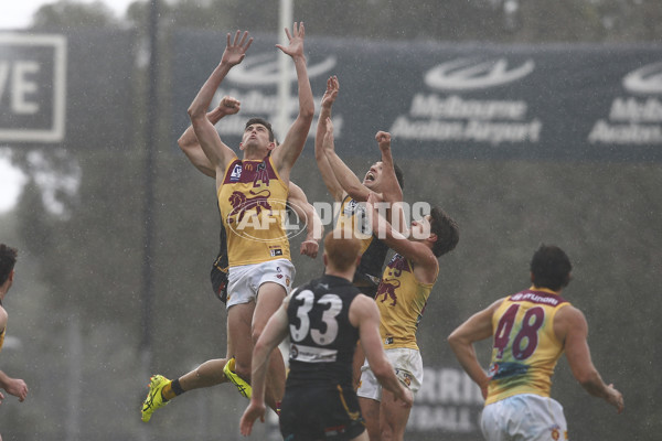 VFL 2024 First Preliminary Final - Werribee v Brisbane - A-54018539