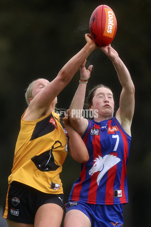 Coates League Girls 2024 First Preliminary Final - Oakleigh v Dandenong - A-54018596