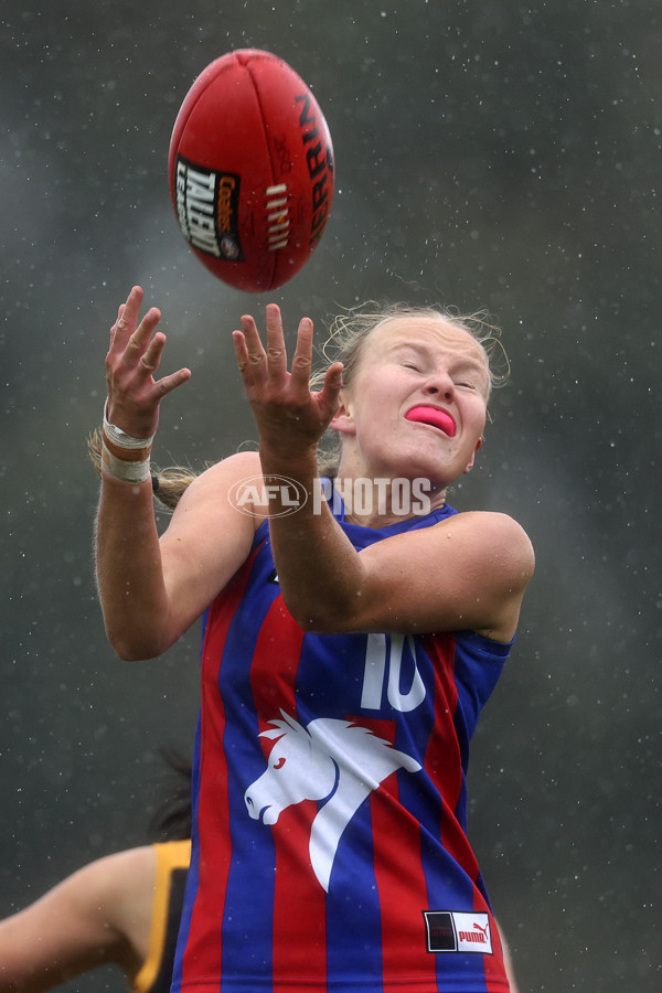 Coates League Girls 2024 First Preliminary Final - Oakleigh v Dandenong - A-54018604