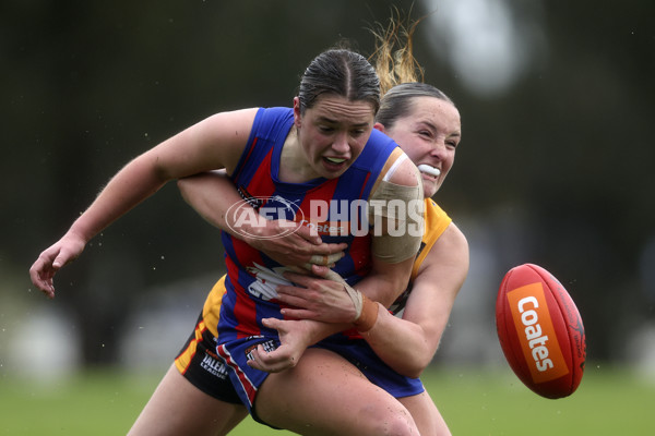 Coates League Girls 2024 First Preliminary Final - Oakleigh v Dandenong - A-54018605