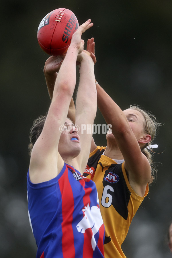 Coates League Girls 2024 First Preliminary Final - Oakleigh v Dandenong - A-54018606