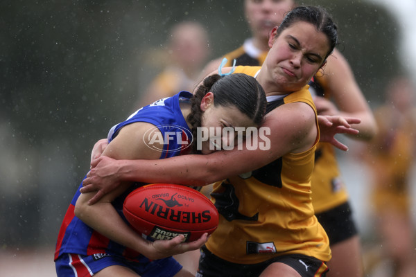 Coates League Girls 2024 First Preliminary Final - Oakleigh v Dandenong - A-54018607