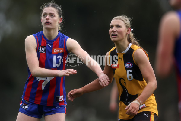 Coates League Girls 2024 First Preliminary Final - Oakleigh v Dandenong - A-54018608