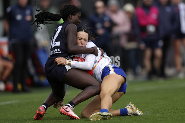 Coates Talent League Girls 2024 Second Preliminary Final - Geelong v Eastern Ranges - A-54018628