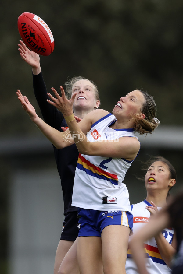 Coates Talent League Girls 2024 Second Preliminary Final - Geelong v Eastern Ranges - A-54018630