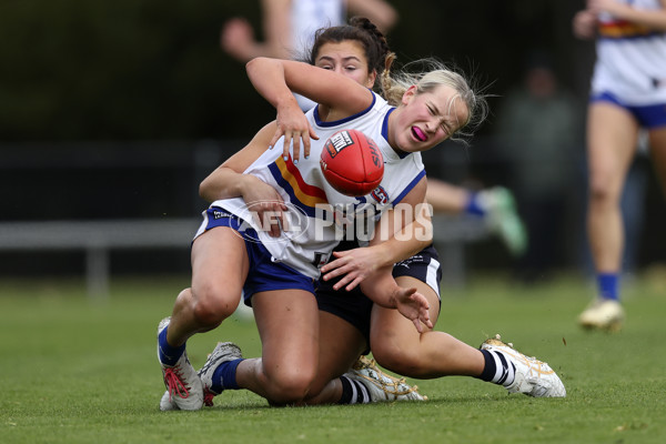 Coates Talent League Girls 2024 Second Preliminary Final - Geelong v Eastern Ranges - A-54018631