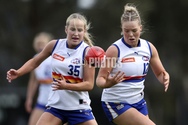 Coates Talent League Girls 2024 Second Preliminary Final - Geelong v Eastern Ranges - A-54018632