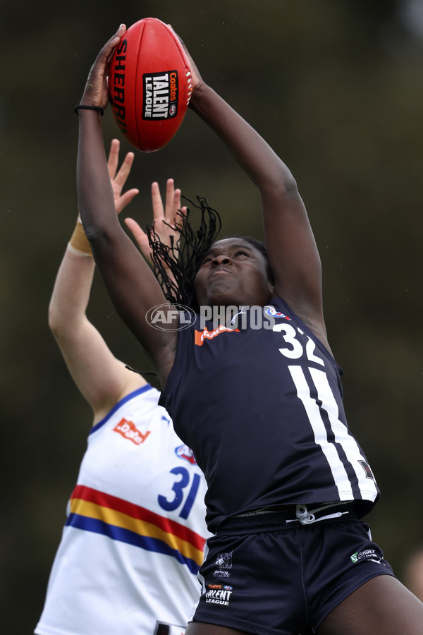 Coates Talent League Girls 2024 Second Preliminary Final - Geelong v Eastern Ranges - A-54018634