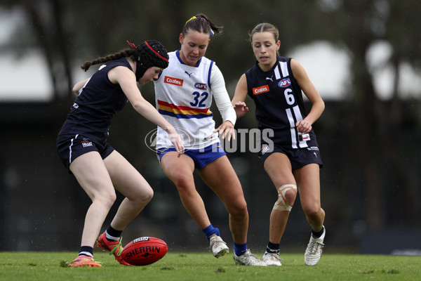 Coates Talent League Girls 2024 Second Preliminary Final - Geelong v Eastern Ranges - A-54018635