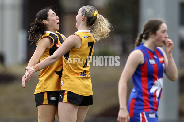 Coates League Girls 2024 First Preliminary Final - Oakleigh v Dandenong - A-54019046