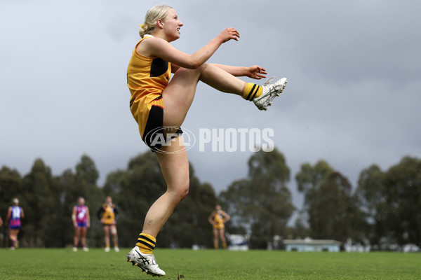 Coates League Girls 2024 First Preliminary Final - Oakleigh v Dandenong - A-54019048