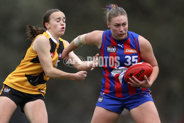 Coates League Girls 2024 First Preliminary Final - Oakleigh v Dandenong - A-54019055