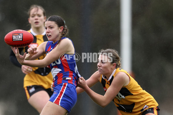 Coates League Girls 2024 First Preliminary Final - Oakleigh v Dandenong - A-54019056