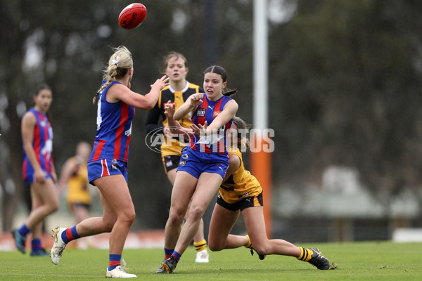 Coates League Girls 2024 First Preliminary Final - Oakleigh v Dandenong - A-54019062