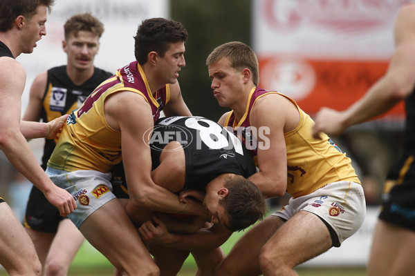 VFL 2024 First Preliminary Final - Werribee v Brisbane - A-54019073