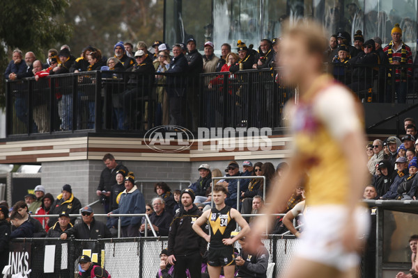 VFL 2024 First Preliminary Final - Werribee v Brisbane - A-54019078