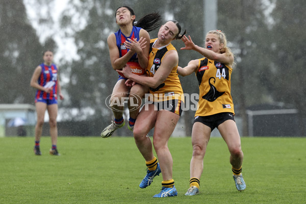 Coates League Girls 2024 First Preliminary Final - Oakleigh v Dandenong - A-54019102