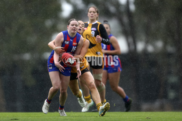 Coates League Girls 2024 First Preliminary Final - Oakleigh v Dandenong - A-54019103