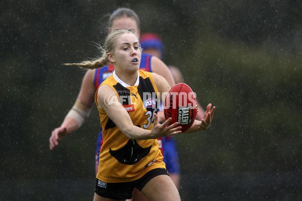 Coates League Girls 2024 First Preliminary Final - Oakleigh v Dandenong - A-54019105