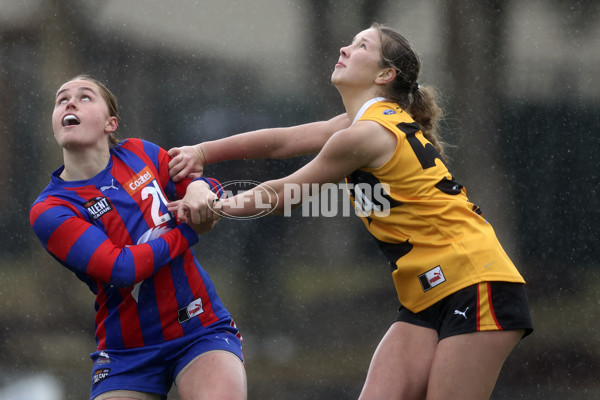 Coates League Girls 2024 First Preliminary Final - Oakleigh v Dandenong - A-54019106