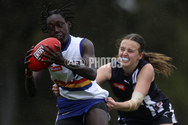 Coates Talent League Girls 2024 Second Preliminary Final - Geelong v Eastern Ranges - A-54021486