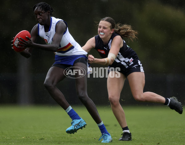 Coates Talent League Girls 2024 Second Preliminary Final - Geelong v Eastern Ranges - A-54021487