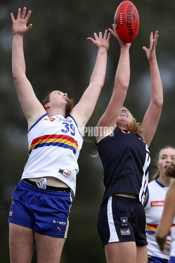 Coates Talent League Girls 2024 Second Preliminary Final - Geelong v Eastern Ranges - A-54021550