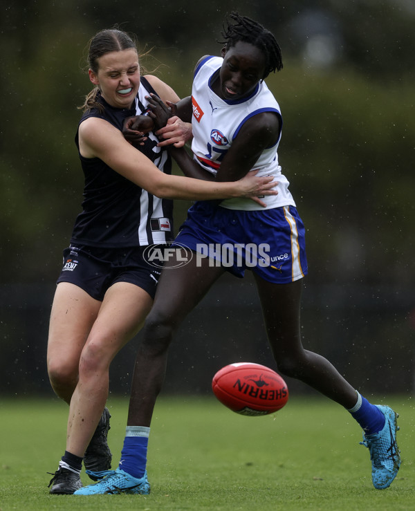 Coates Talent League Girls 2024 Second Preliminary Final - Geelong v Eastern Ranges - A-54021787