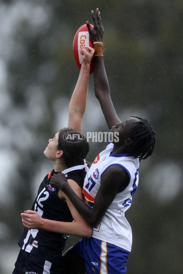 Coates Talent League Girls 2024 Second Preliminary Final - Geelong v Eastern Ranges - A-54021789